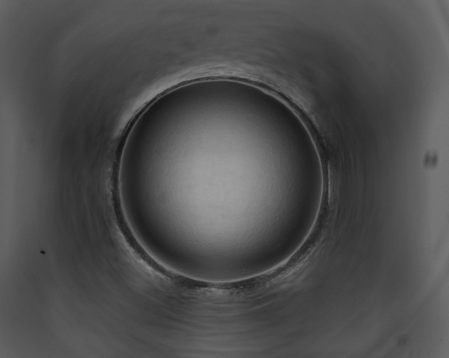 X0000090631500200707171435