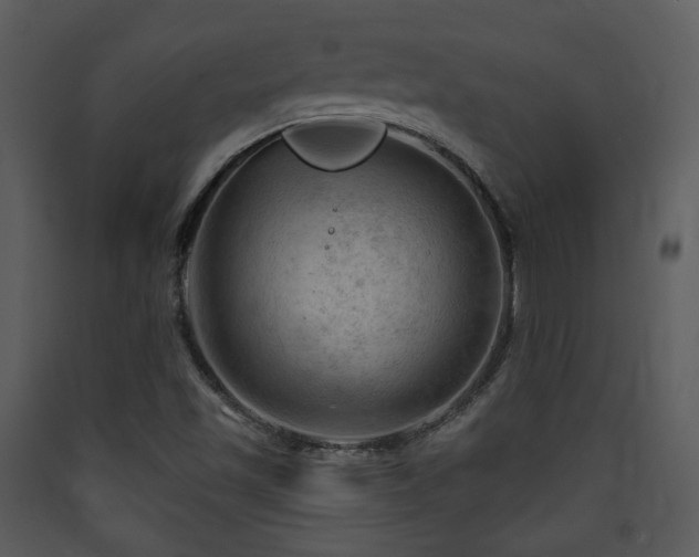 X0000090631501200707171435