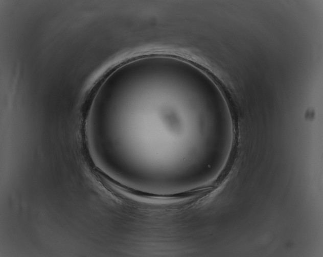 X0000090631502200707171435