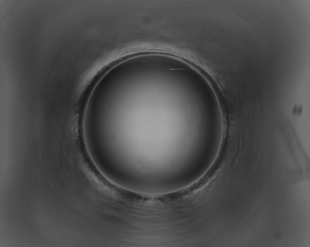 X0000090631503200707171435
