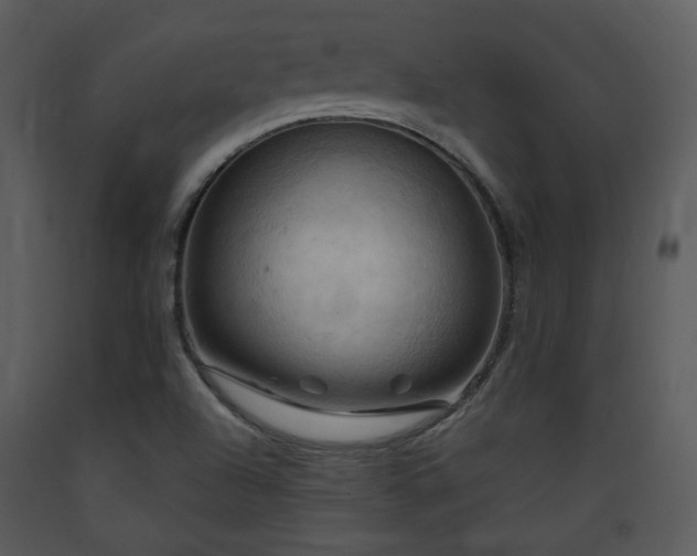 X0000090631504200707171435
