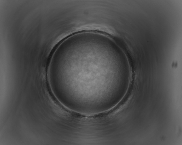 X0000090631505200707171435