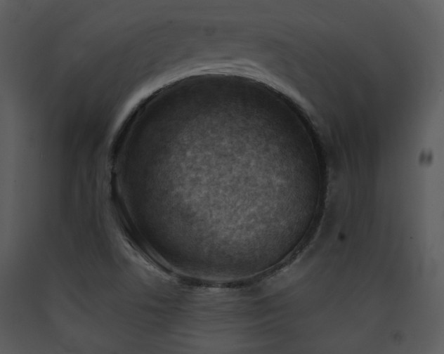 X0000090631506200707171435
