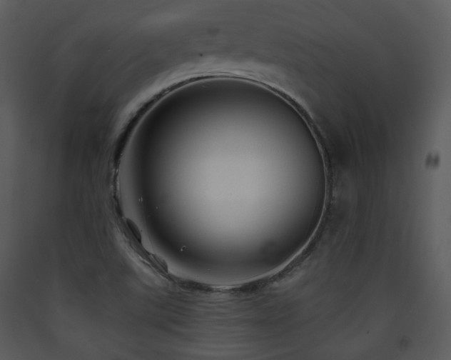 X0000090631507200707171436
