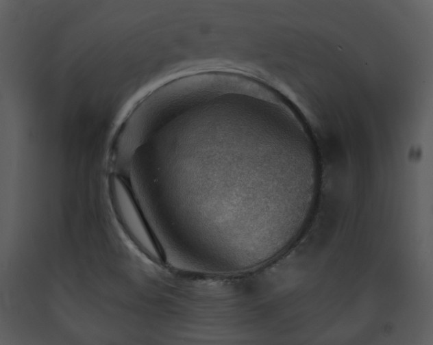 X0000090631508200707171436