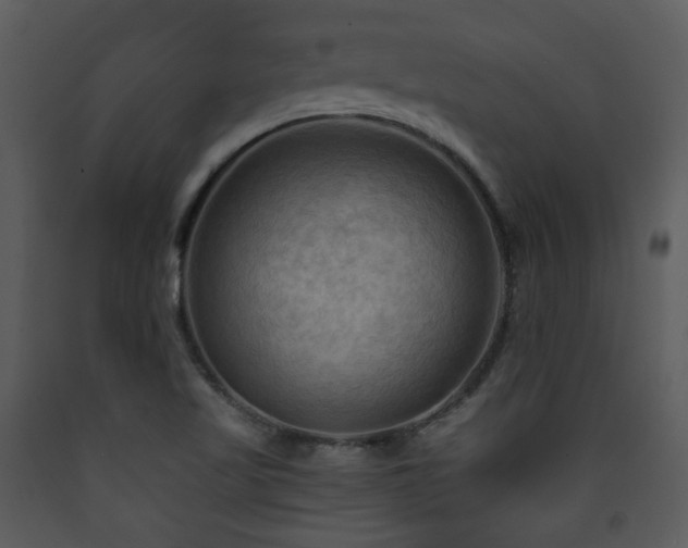 X0000090631509200707171436