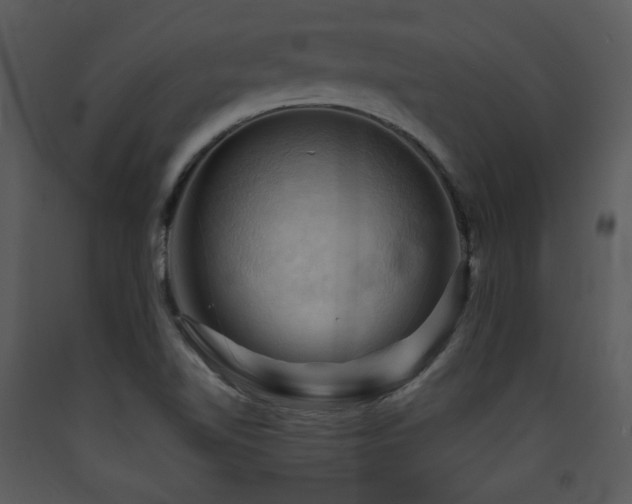 X0000090631510200707171436