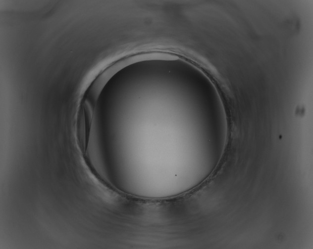 X0000090631512200707171436