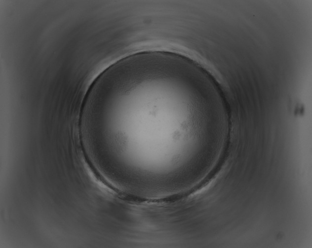 X0000090631513200707171436