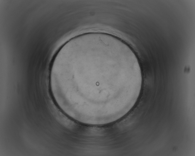 X0000090631514200707171436