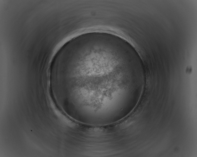 X0000090631515200707171436