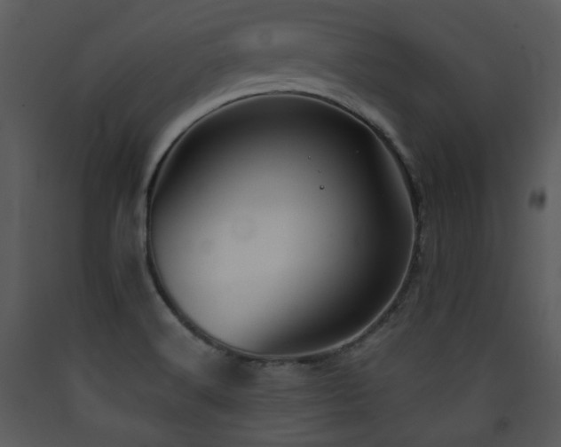 X0000090631516200707171436