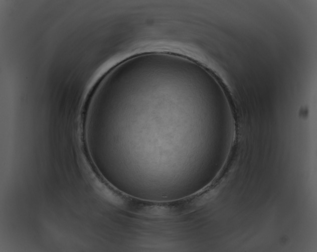 X0000090631517200707171436