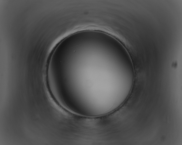 X0000090631518200707171436