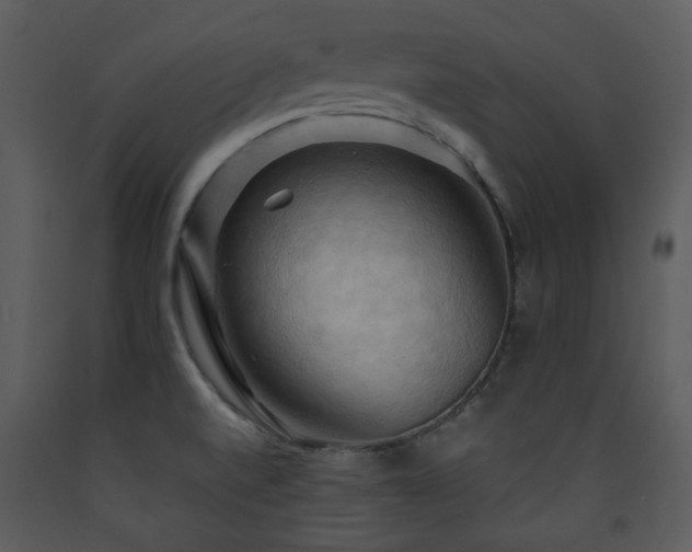 X0000090631520200707171436