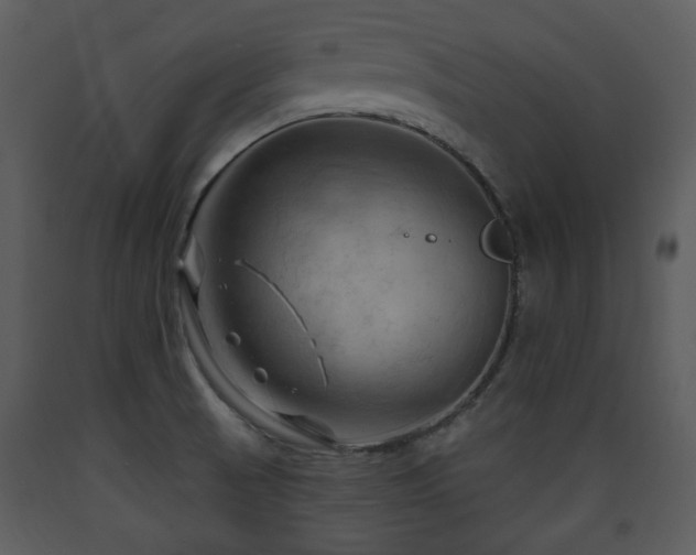 X0000090631521200707171436