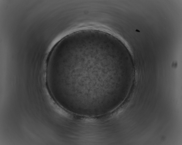 X0000090631522200707171436
