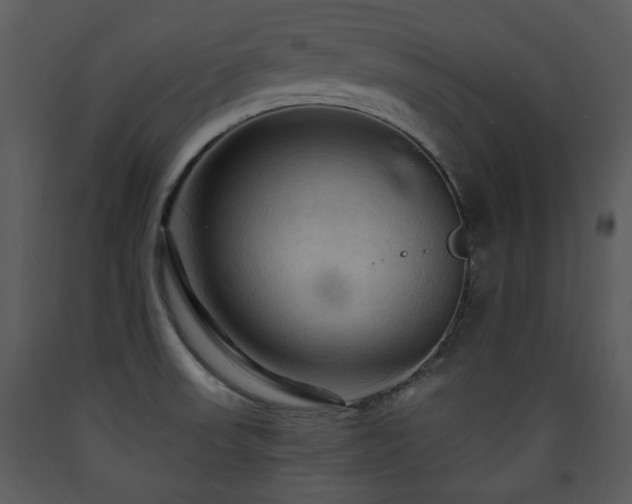 X0000090631523200707171436