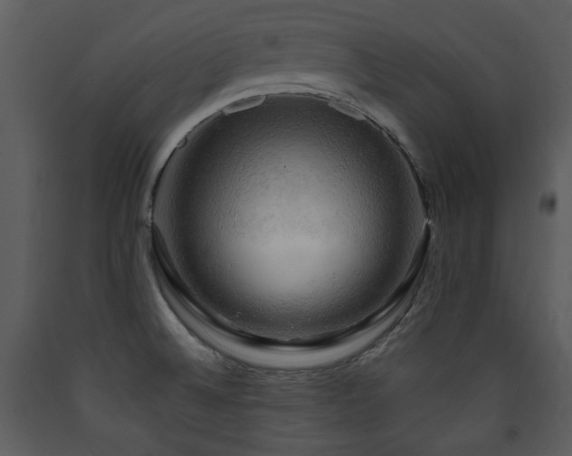 X0000090631524200707171436