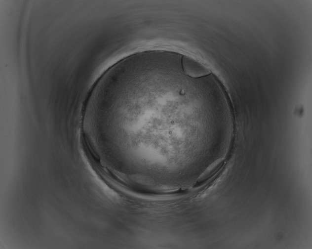 X0000090631525200707171436