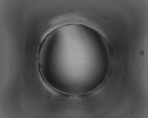 X0000090631526200707171436