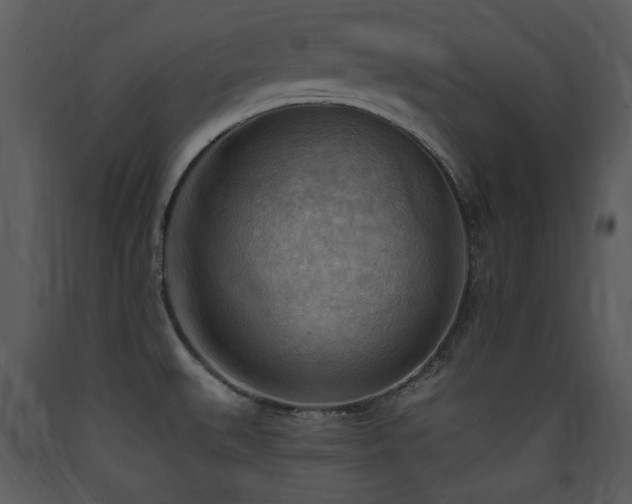 X0000090631527200707171436