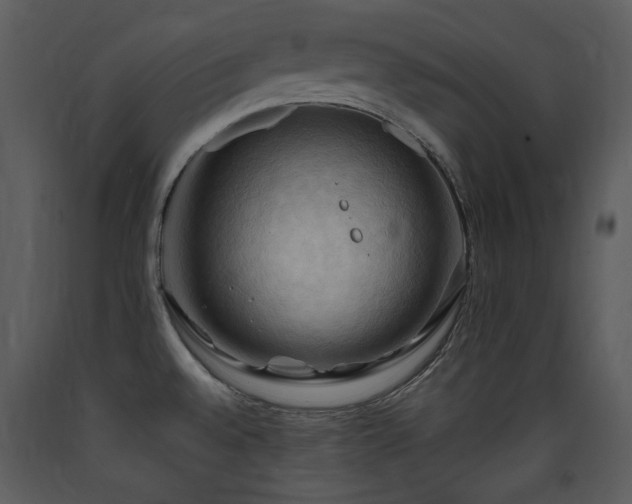 X0000090631528200707171436