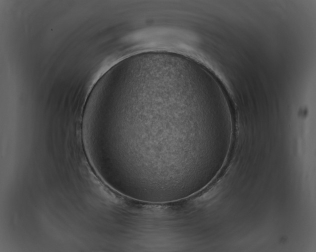 X0000090631529200707171436