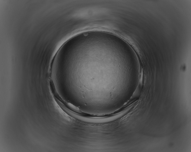 X0000090631532200707171436