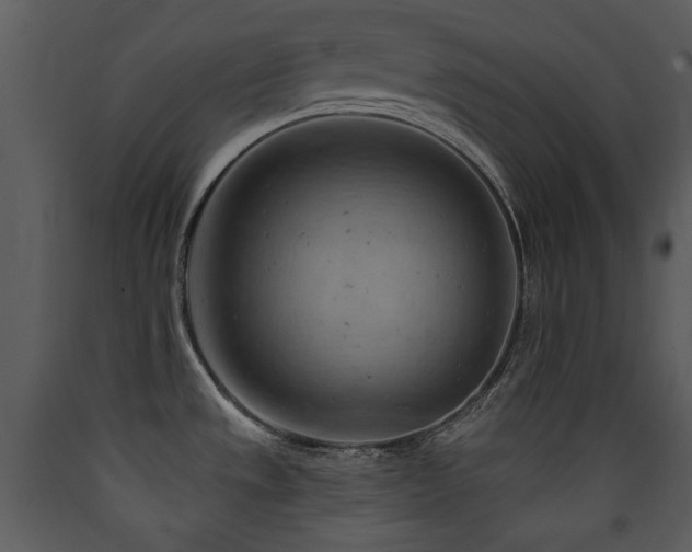 X0000090631533200707171436
