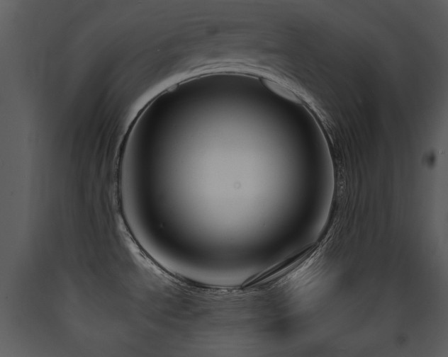 X0000090631534200707171436