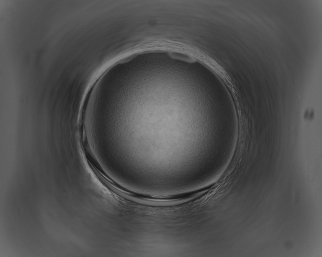 X0000090631536200707171436