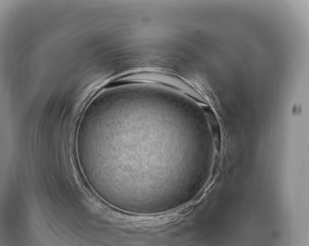 X0000090630001200707241203