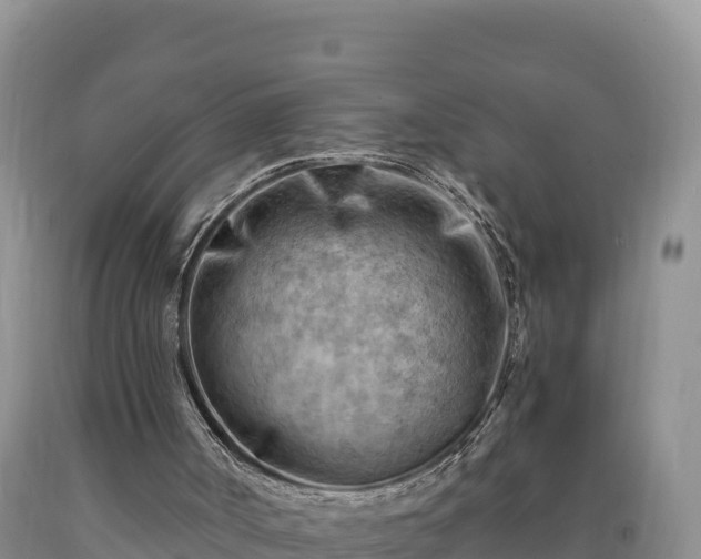 X0000090630002200707241203
