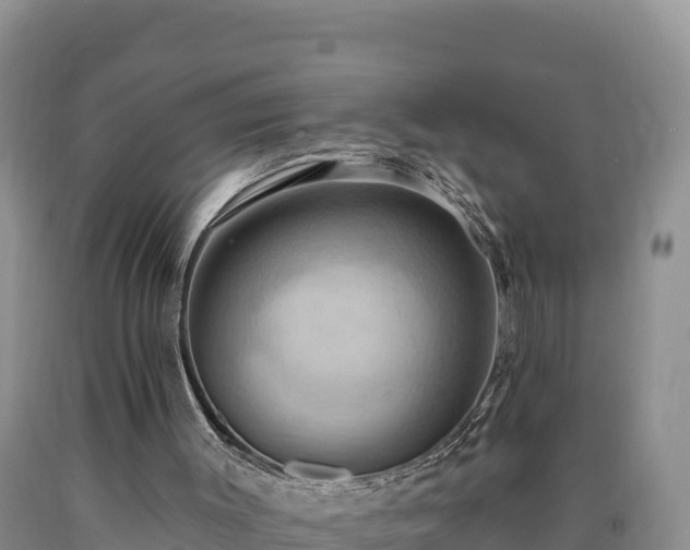 X0000090630003200707241203