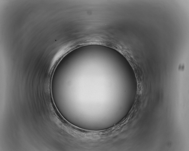 X0000090630004200707241203