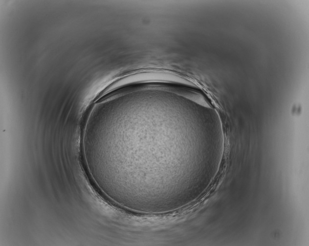 X0000090630005200707241203
