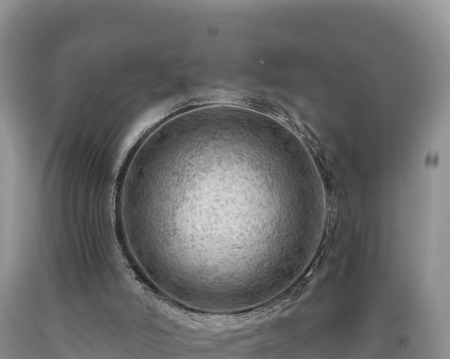 X0000090630006200707241203