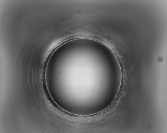X0000090630007200707241203