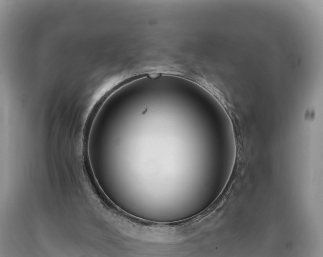 X0000090630008200707241203