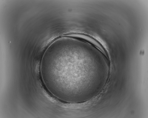 X0000090630009200707241203