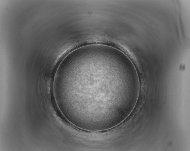 X0000090630010200707241203