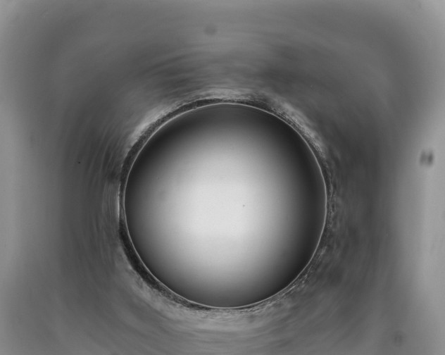 X0000090630011200707241203