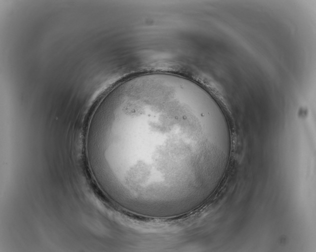X0000090630012200707241203