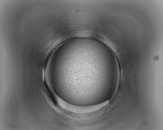 X0000090630013200707241203