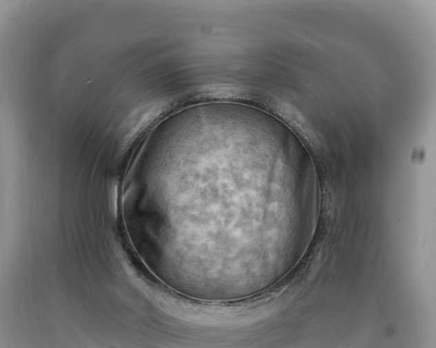 X0000090630014200707241203