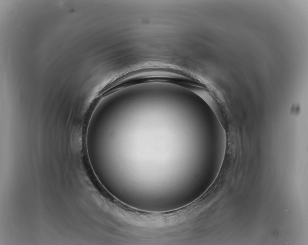 X0000090630015200707241203
