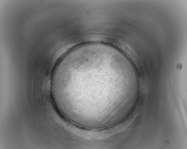 X0000090630016200707241203