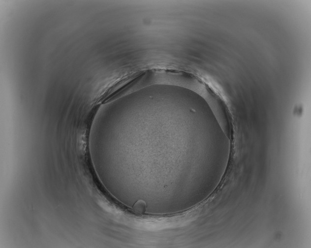 X0000090630017200707241203