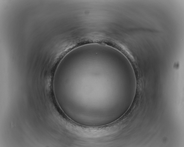 X0000090630018200707241203